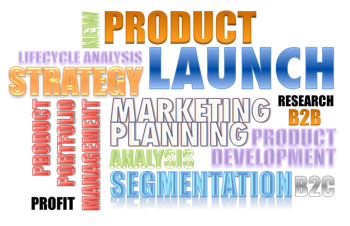 Learn quickly from our management strategy consultants